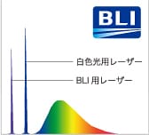 BLI-brightE観察