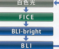 BLI観察