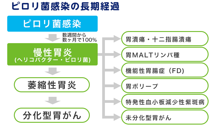 ピロリ菌感染の長期経過